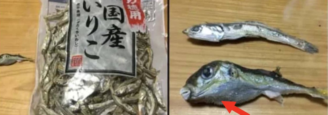 40 Shocking Photos Of People Cheating Death (At Least For The Time Being)