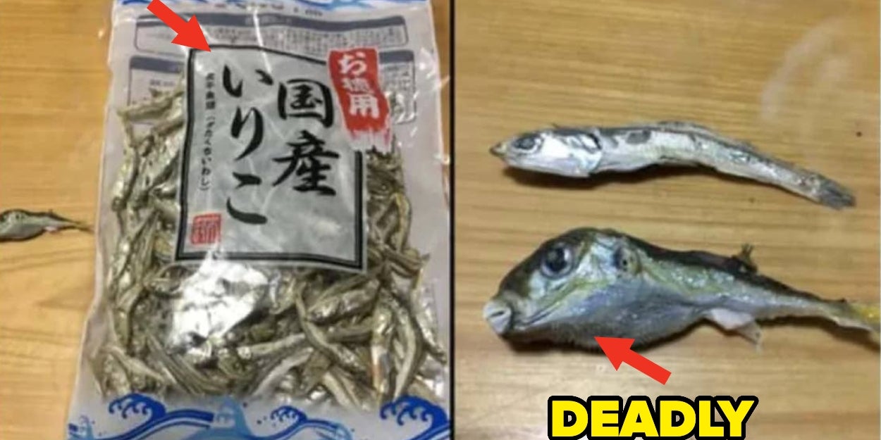 40 Shocking Photos Of People Cheating Death