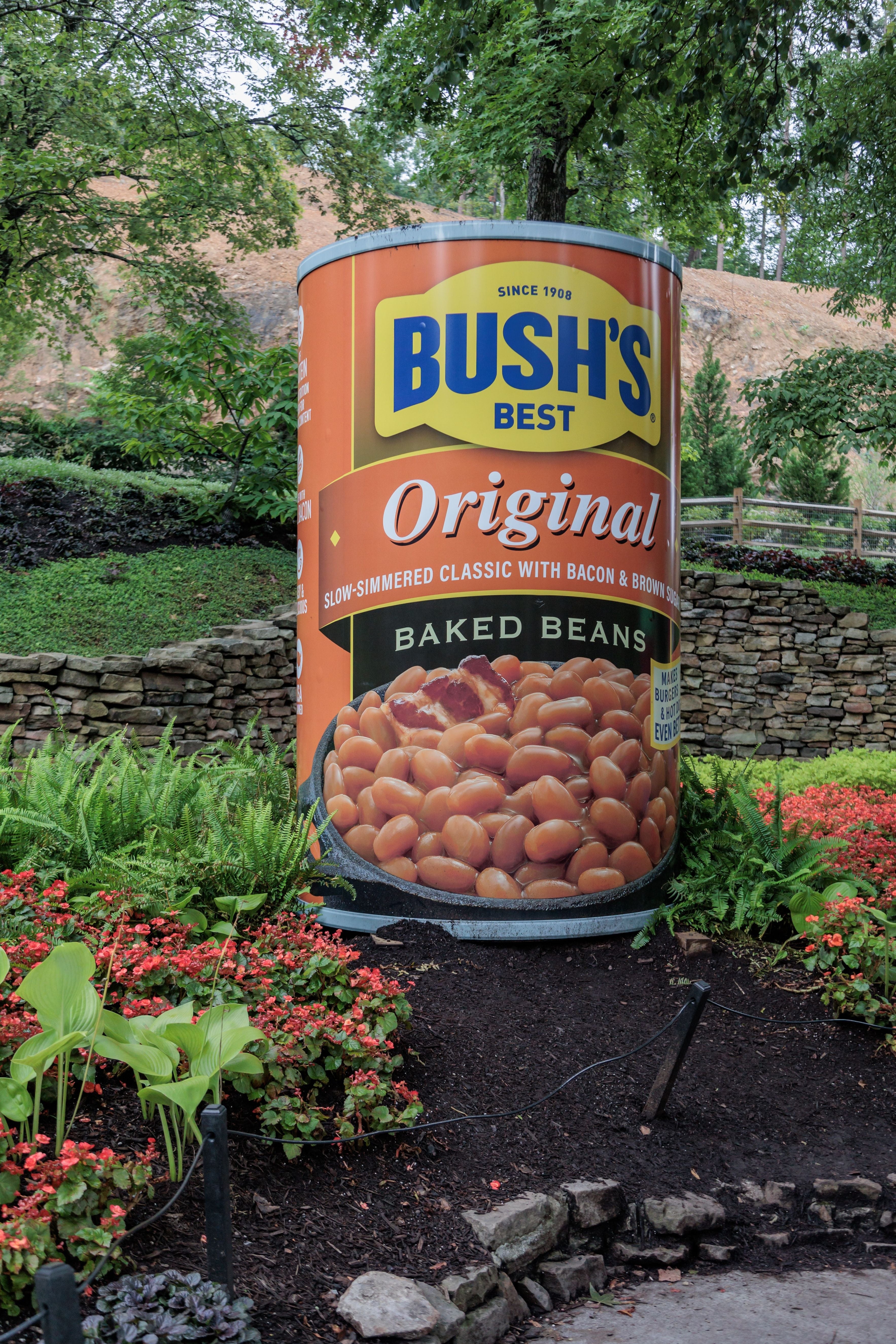 Giant tin  of Bush's Best Original Baked Beans successful  a plot  mounting  with plants and a chromatic  wall, resembling an advertisement display