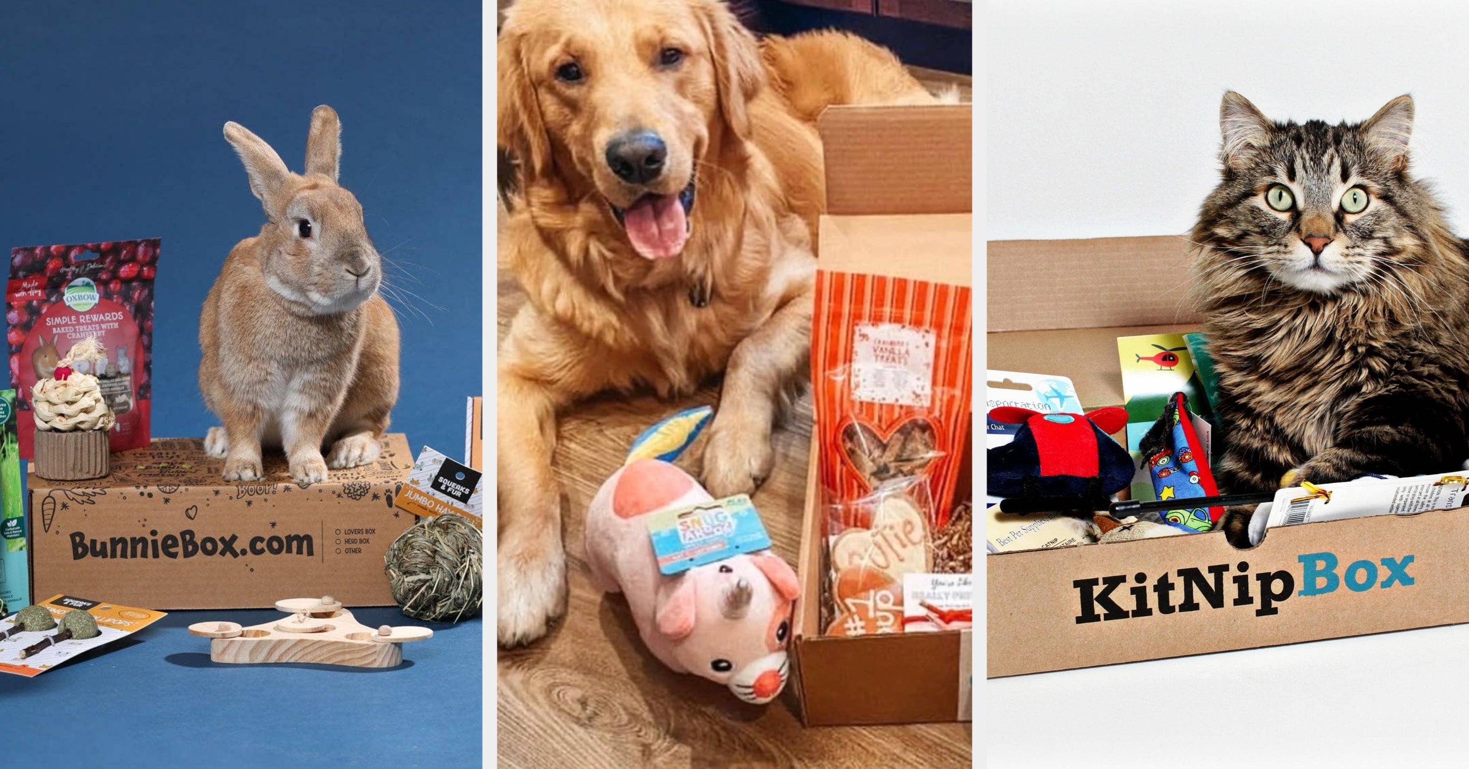 16 Subscription Boxes You And Your Pet Will Love