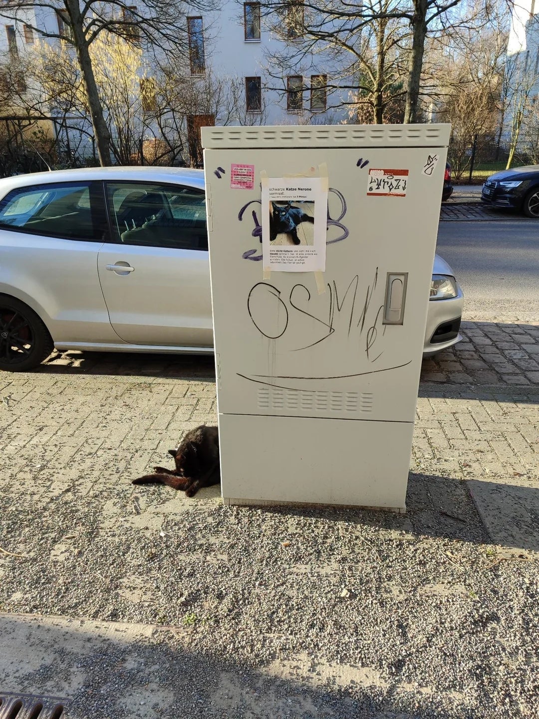 Utility container  with graffiti and a poster, connected  a sidewalk beside a parked car. A achromatic  canine  is lying adjacent   the box