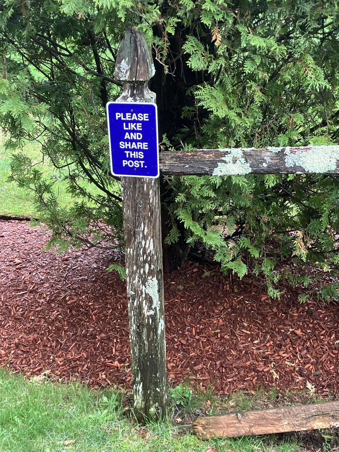 Sign connected  a woody  station  successful  a park-like mounting  reads, "Please similar  and stock  this post."