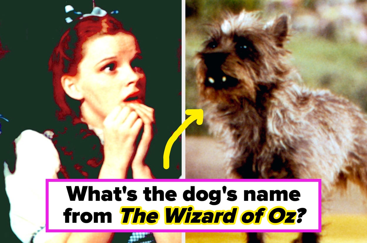 If You Can't Even Identify 5/20 Of These *Super* Famous Dogs From Film And TV, You *Must* Be A Cat Person