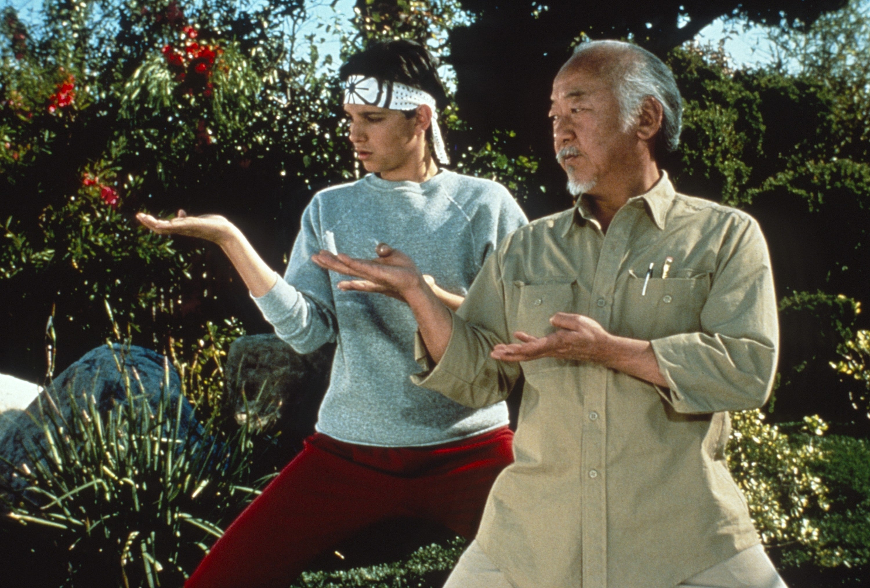 Two people practicing martial arts stances in a garden setting, one wearing a headband
