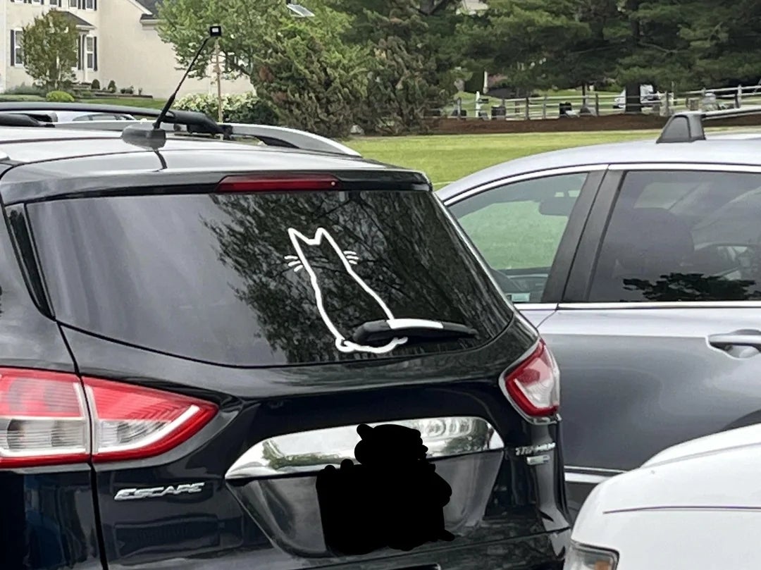  a feline  sitting, with its process    resembling a windshield wiper