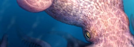 白亜紀の巨大タコのイメージ図（北海道大学のリリースより）