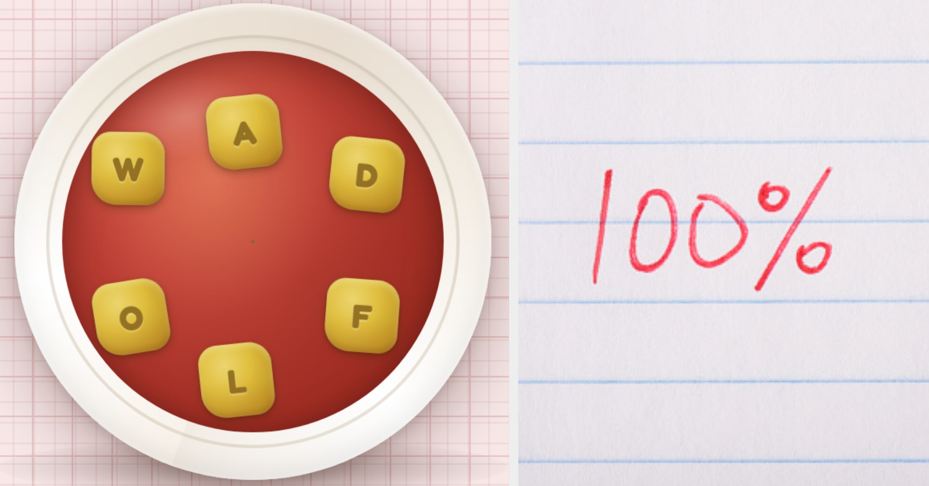 The Soup Of The Day Is "ADFLOW" — How Many Words Can You Spell Out?