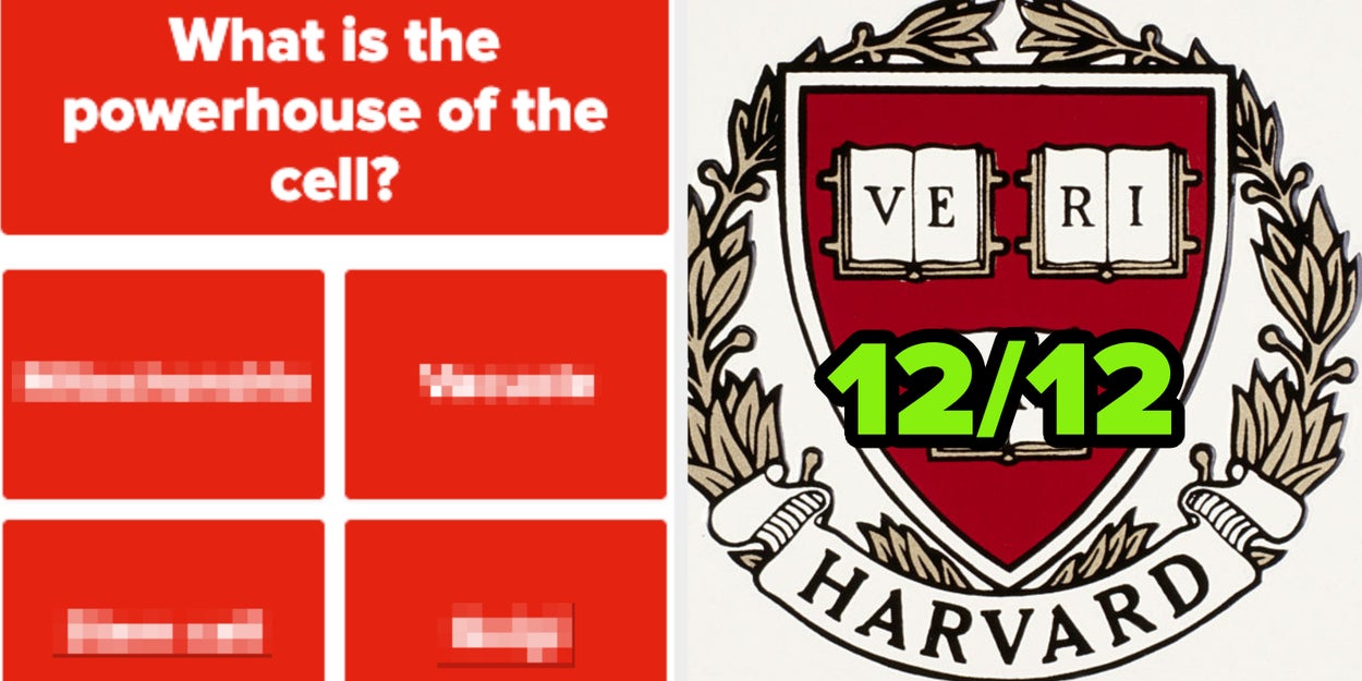 You're Going Straight To Harvard If You Can Ace This High School-Level Test