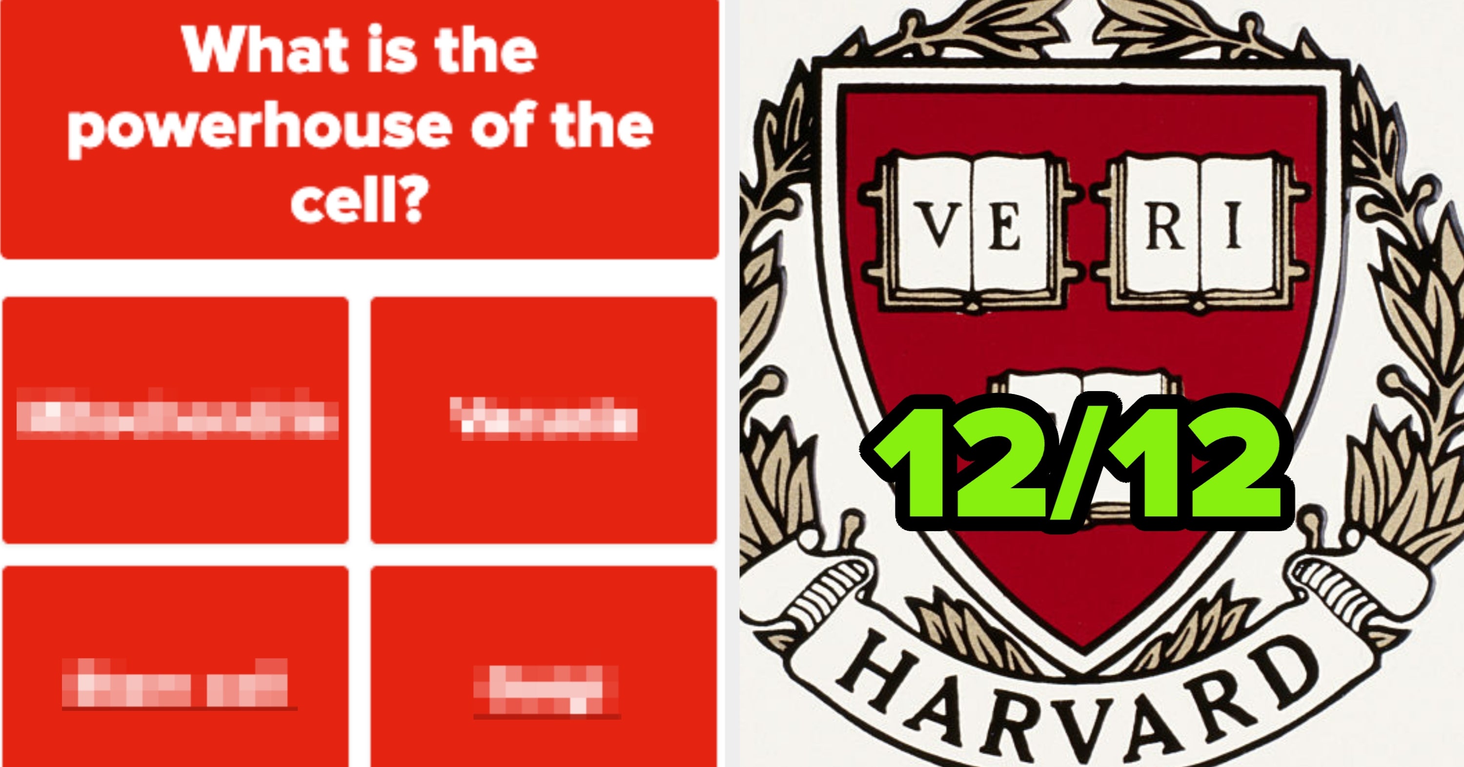 Think Your Harvard Material? Take This High School-Level Test To Find Out