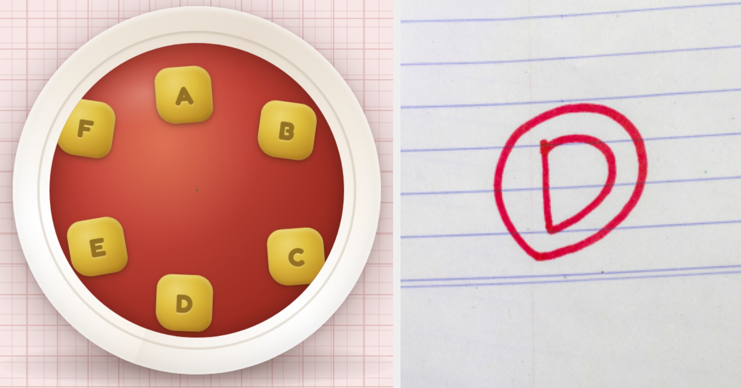 The Soup Of The Day Is "ABCDEF" — How Many Words Can You Spell Out?