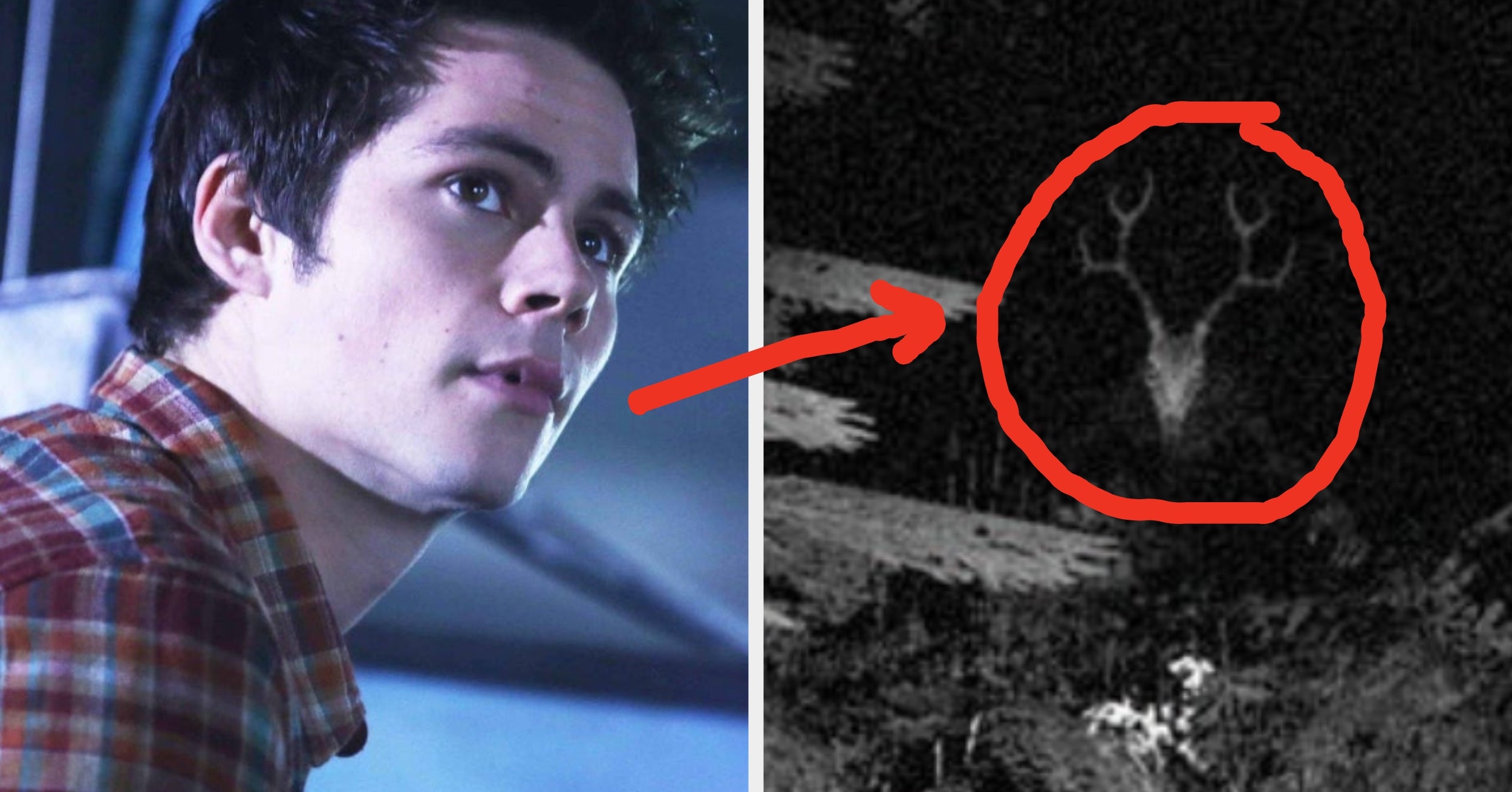 Answer These 11 Supernatural Questions And We'll Tell You Which Cryptid Is Watching Over You