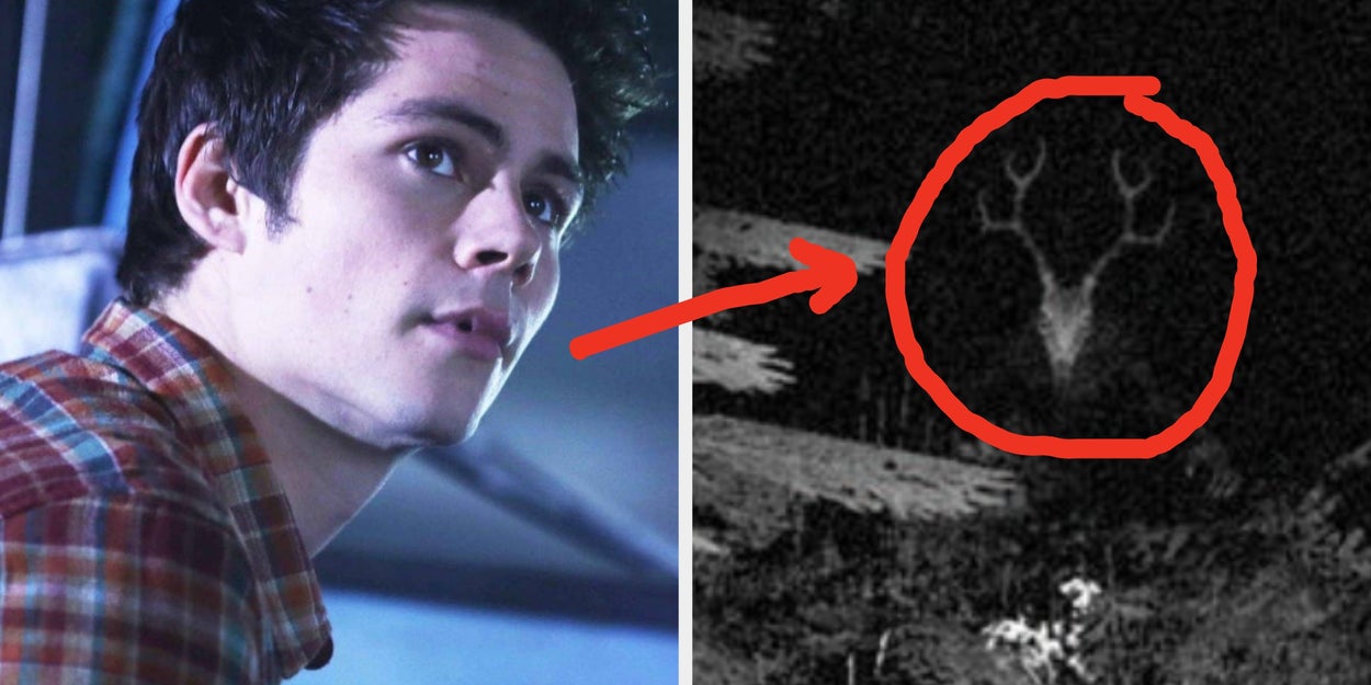 These 11 Questions Will Reveal What Cryptid Is Your Supernatural Protector