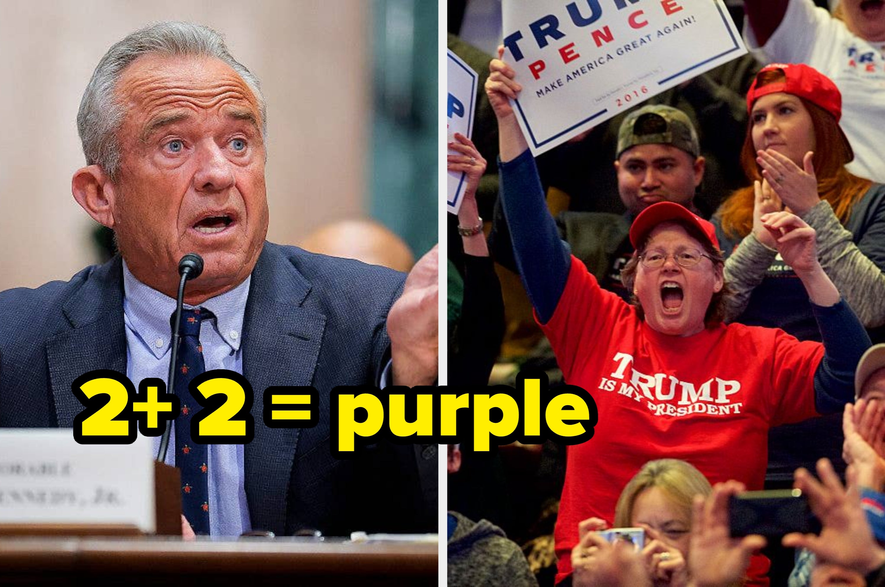 A crowd wearing "Trump" attire is on the left; on the right, a man in a gray suit appears concerned. Large text on the left asks, "2+2=???"