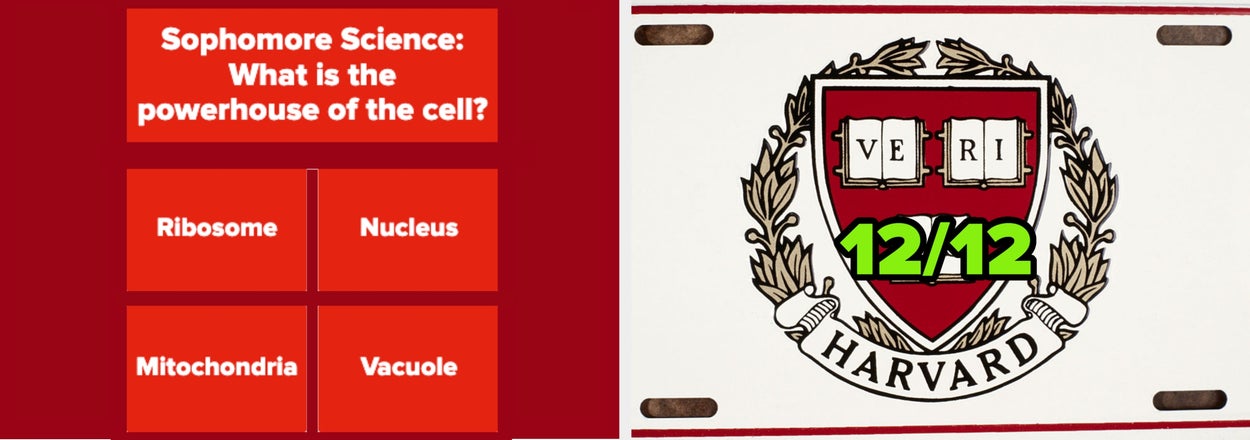 You're Going Straight To Harvard If You Can Ace This High School-Level Test
