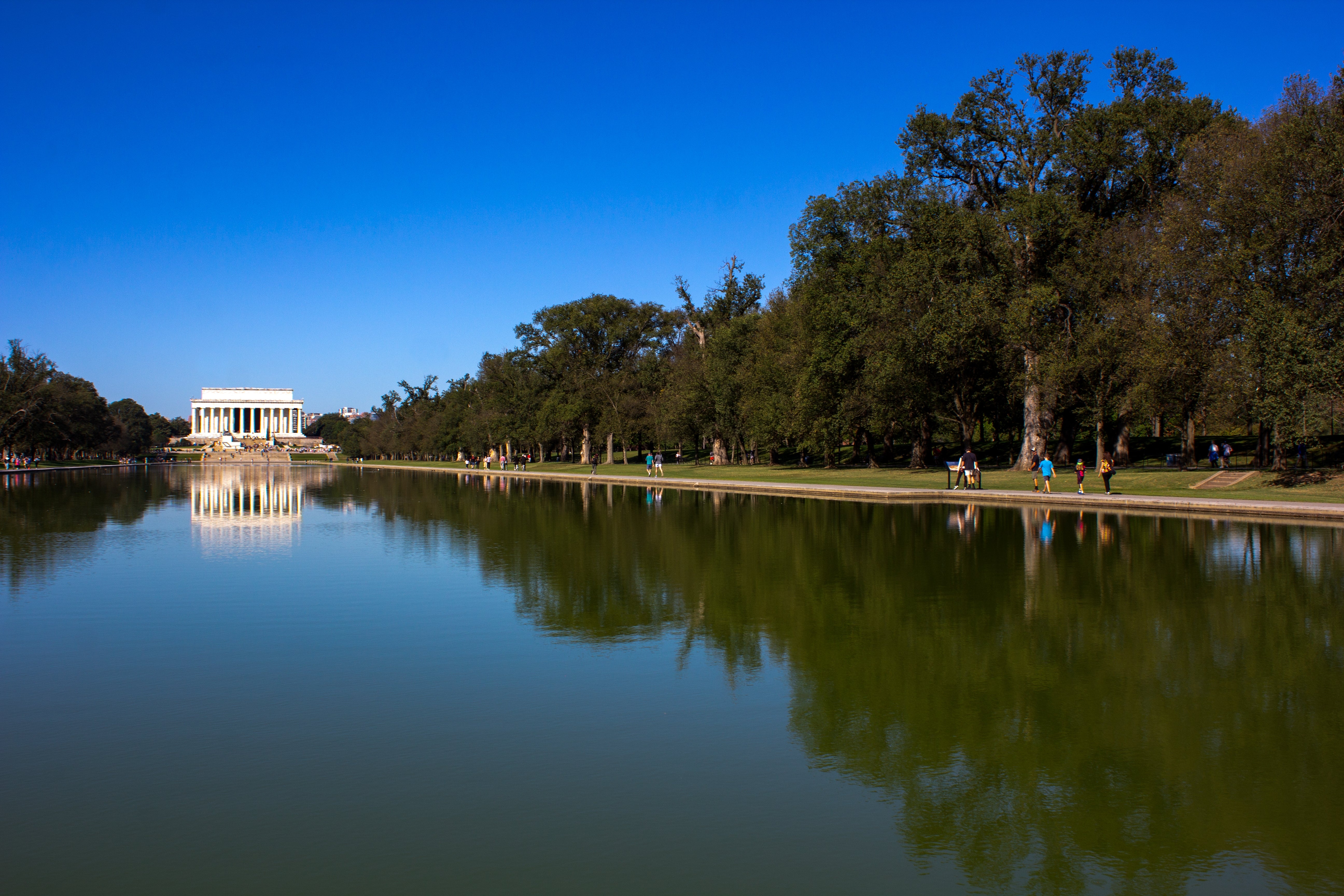 Reflecting excavation  with trees lining the sides and the Lincoln Memorial successful  the background