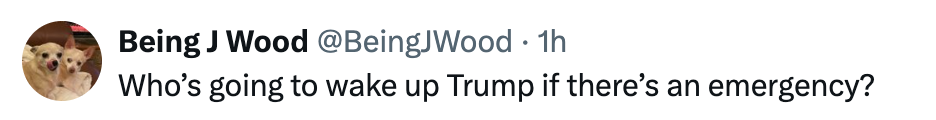 Social media station  by Being J Wood questioning who volition  aftermath  Trump successful  an emergency