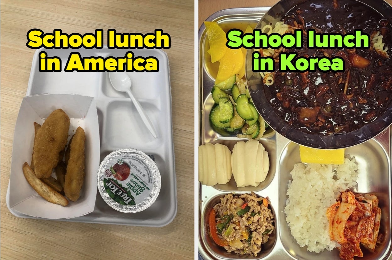 Comparison of school lunches: American tray with tiny chicken tenders and applesauce; Korean tray with rice, vegetables, meat, kimchi, and soup