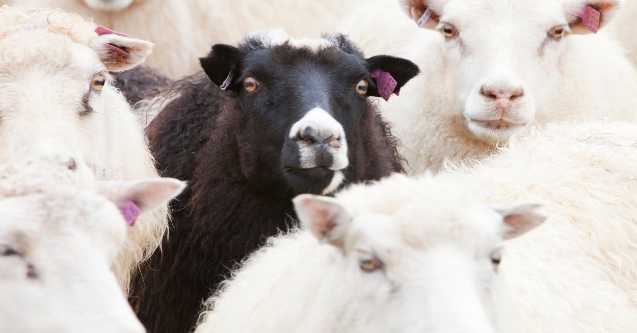 You Might Not Realize You're A People-Pleaser, But This Brutally Honest Quiz Will Reveal You Care Wayyyyyyyyy Too Much About What People Think