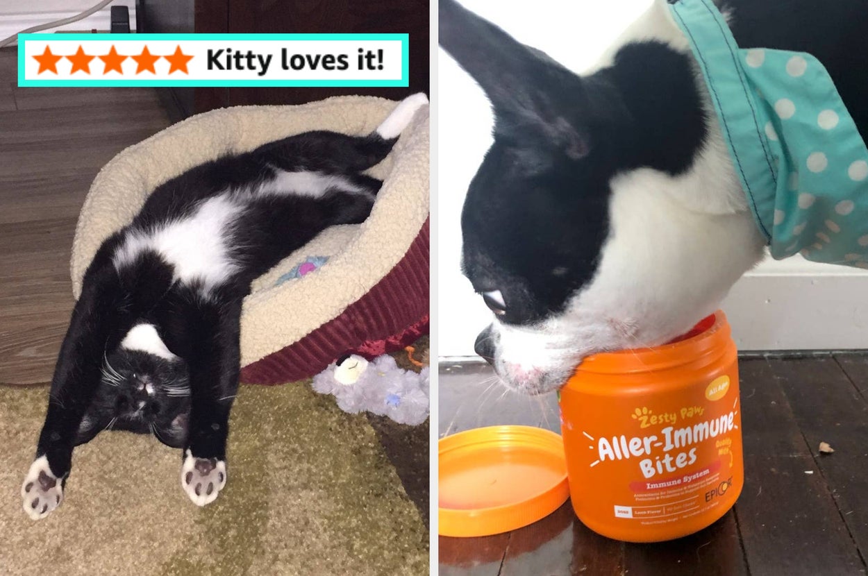 Owning These 28 Helpful Pet Products Will Earn You Two Paws Up