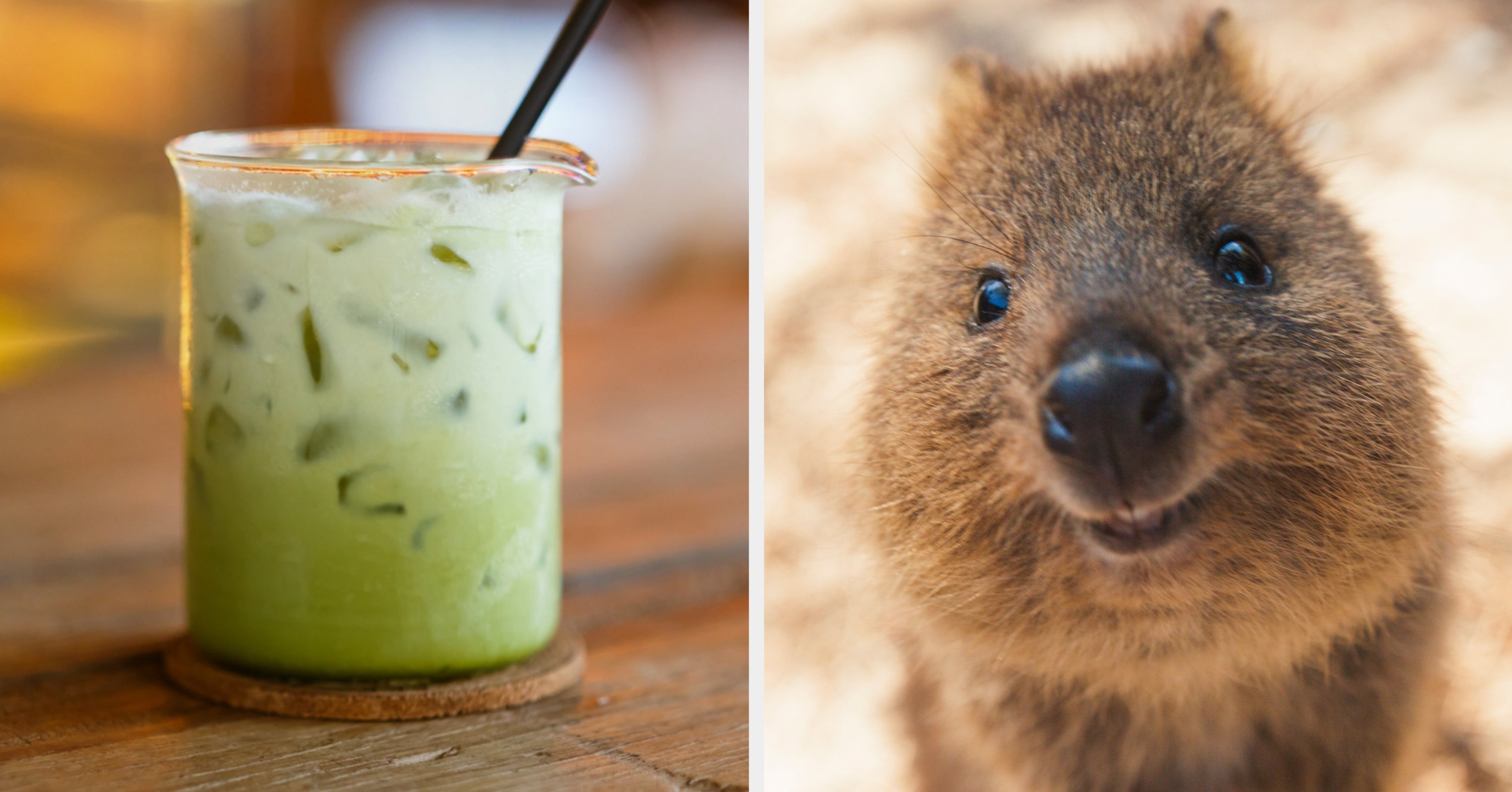 Where Should You Book Your Trip To? Drink From A To Z And I'll Guess Your Top Choice