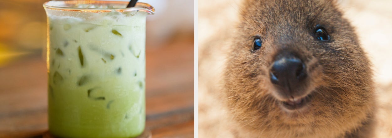 Pick A-Z Beverages And We'll Guess Your Dream Vacation Destination