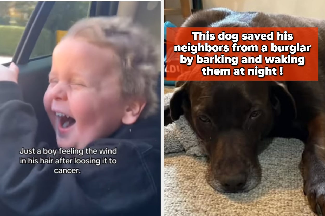 22 Impossibly Pure Internent Moments That Might Actually Convince You Humanity Isn't Completely Doomed