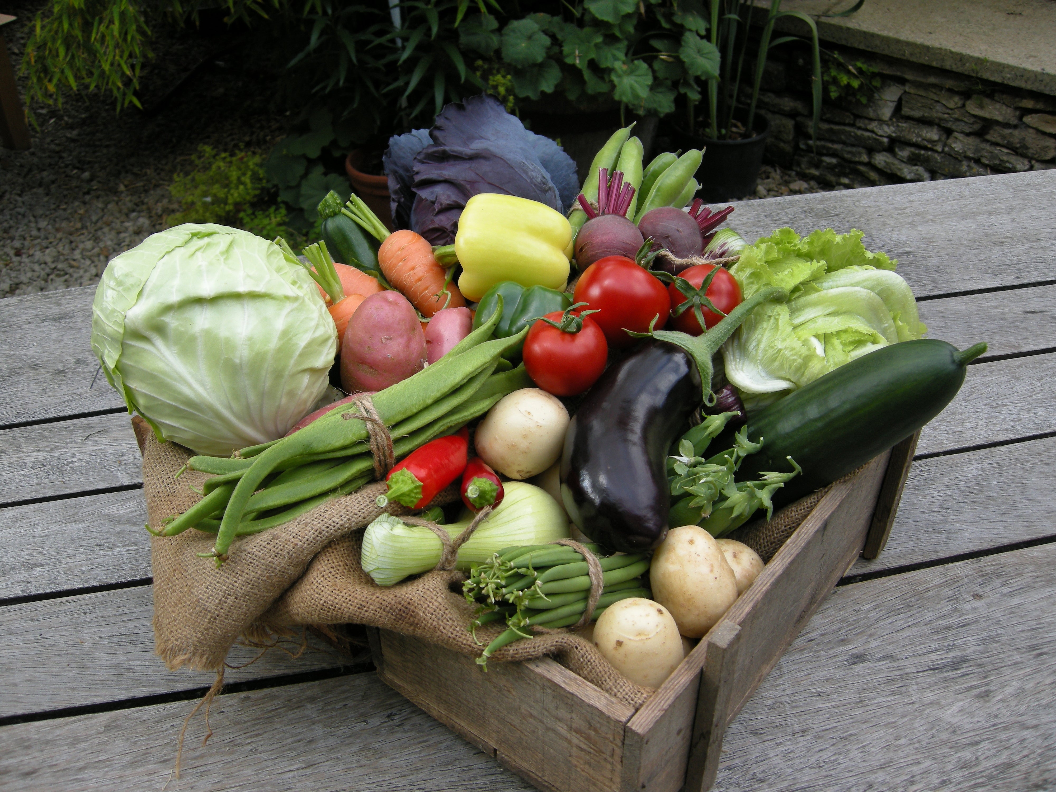 A wooden crate filled with a variety of fresh vegetables, including cabbage, peppers, tomatoes, and zucchini, displayed on an outdoor table