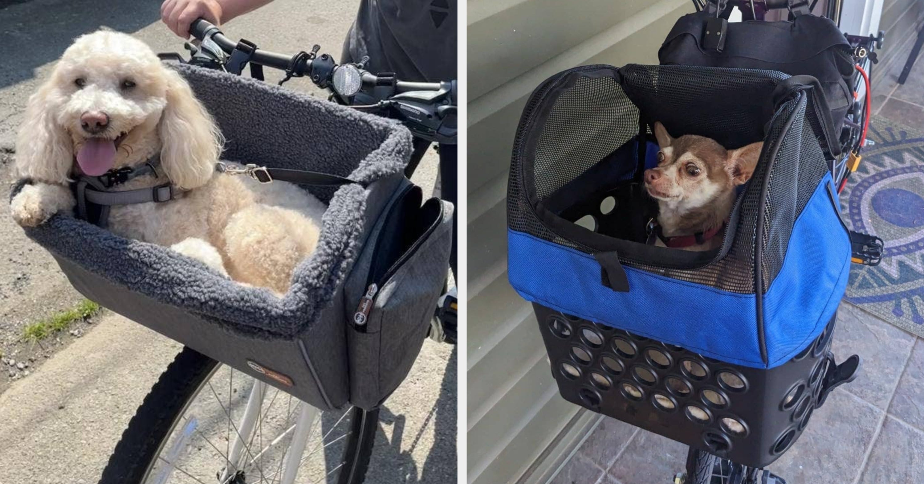13 Dog Bike Baskets That’ll Make Your Pup The Most Stylish And Protected Passenger In Town