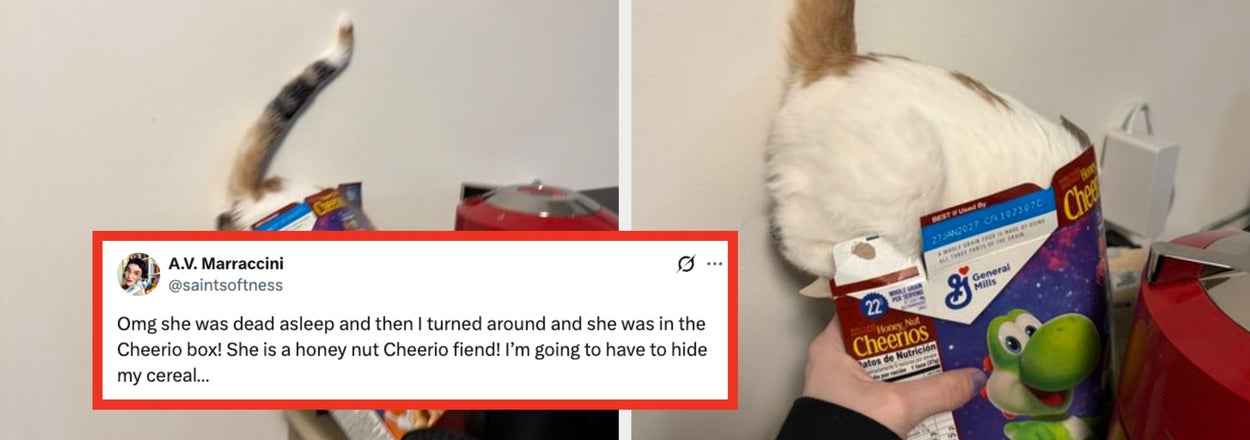 "I Laughed So Hard That I Cried And Then Farted": I'm Really Sorry, But There's Simply No Way For Me To Stop Cackling At These 37 Hysterical Fails From Last Week