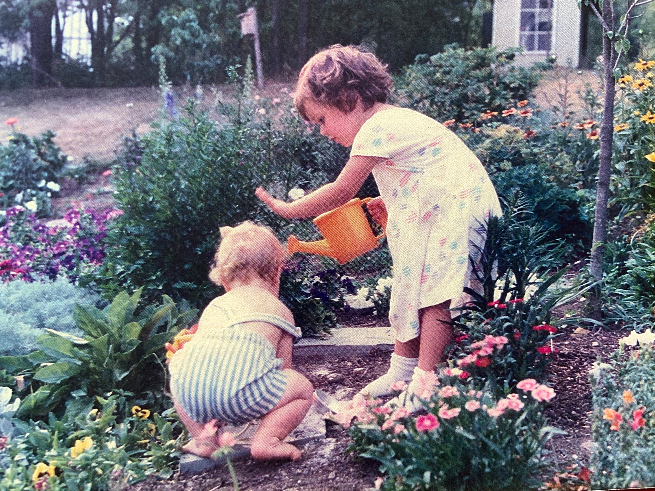 Two children gardening, 1  wearing a formal  and utilizing a watering can, the different   successful  striped overalls crouching among the flowers