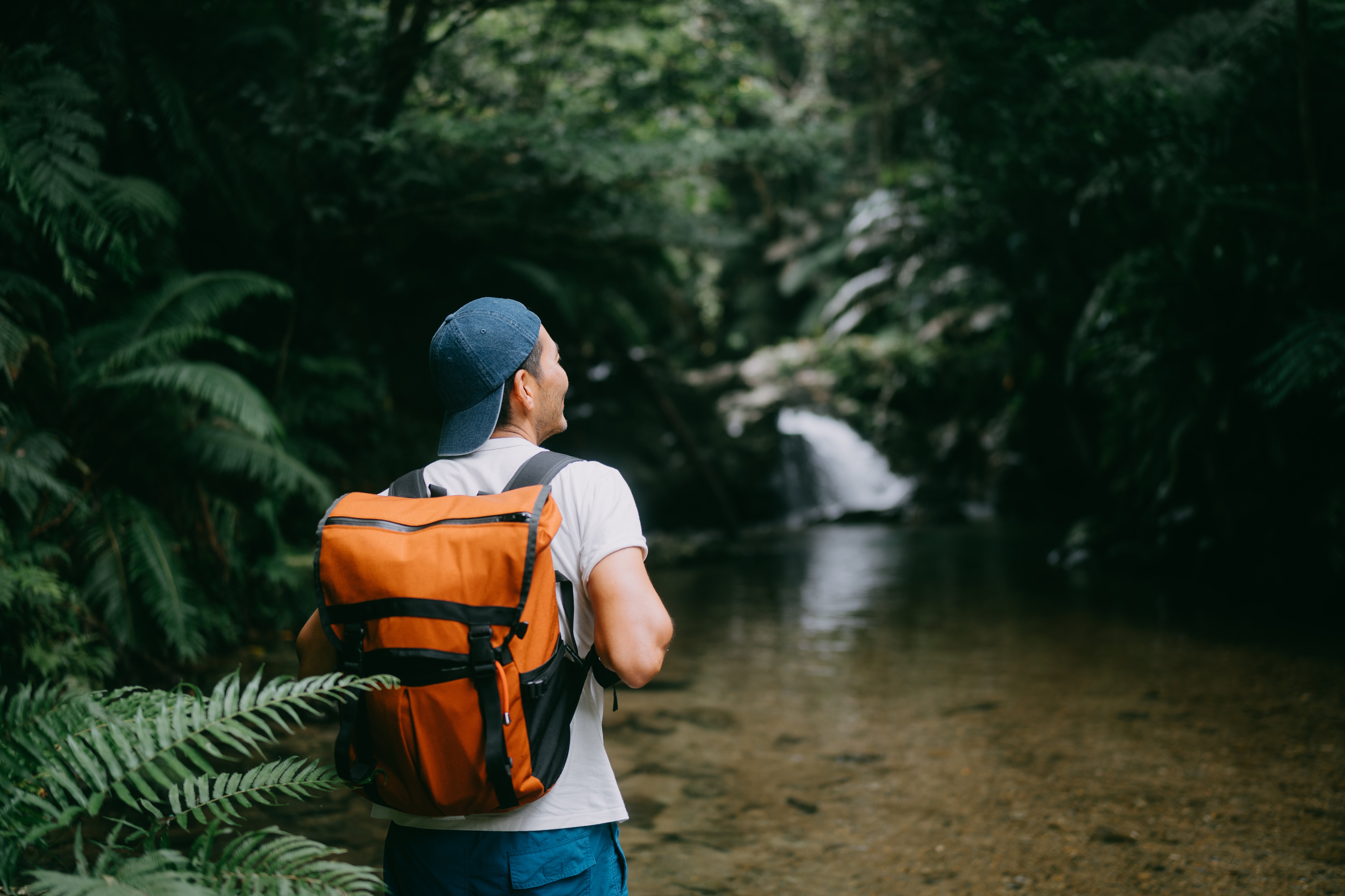 Person with backpack and headdress  stands by a wood  stream, looking astatine  a tiny  waterfall surrounded by lush greenery