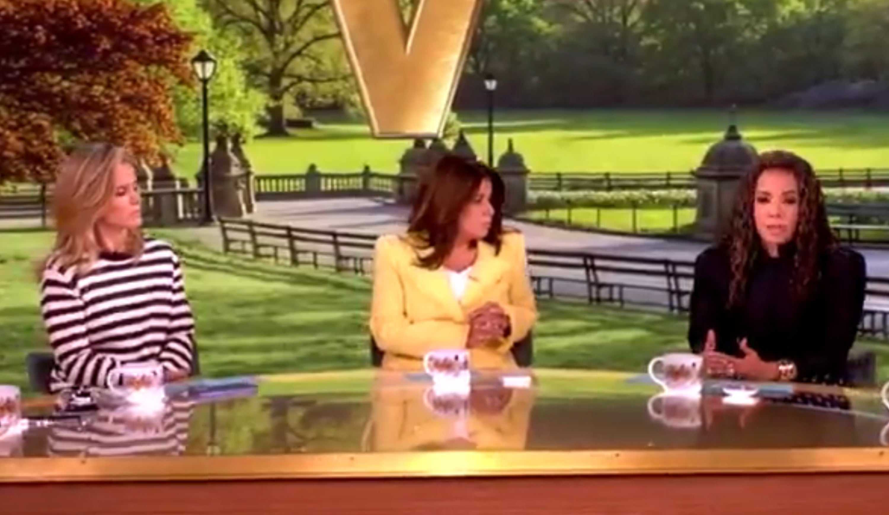 Talk amusement   panelists seated astir   a array  discussing topics, with a ample  "The View" logo down  them