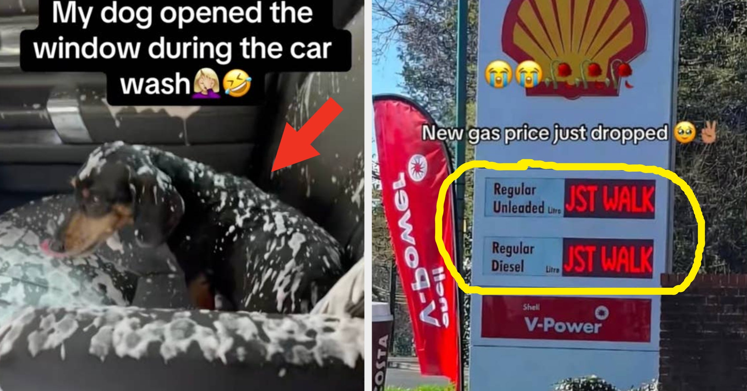 30 Breaktakingly Dumb Pictures Taken At JUST The Right Moment That Get Funnier And Funnier No Matter How Many Times I’ve Seen Them