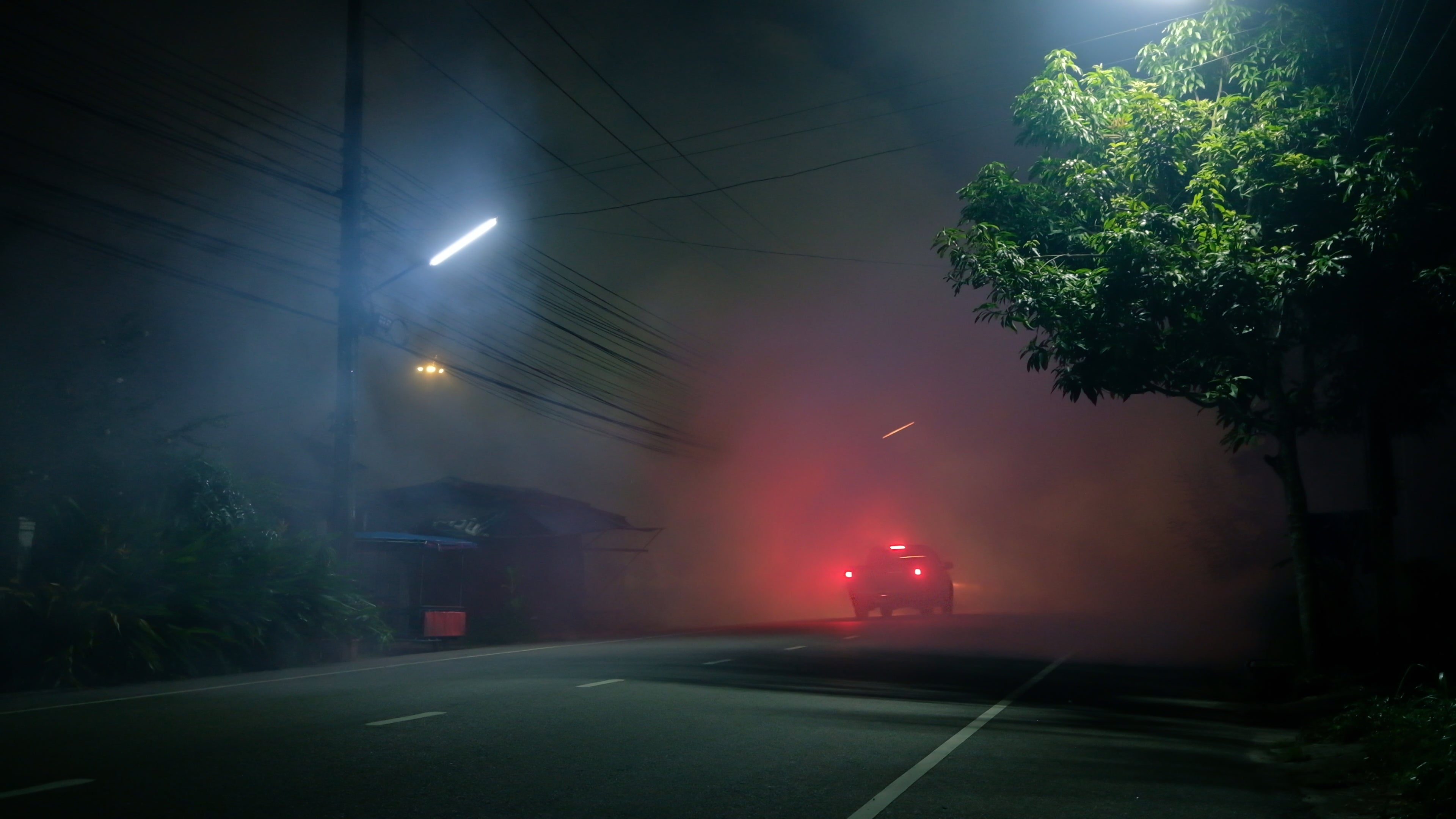 A car   with illuminated taillights travels down   a dimly lit, foggy roadworthy  lined with trees and powerfulness  lines astatine  night