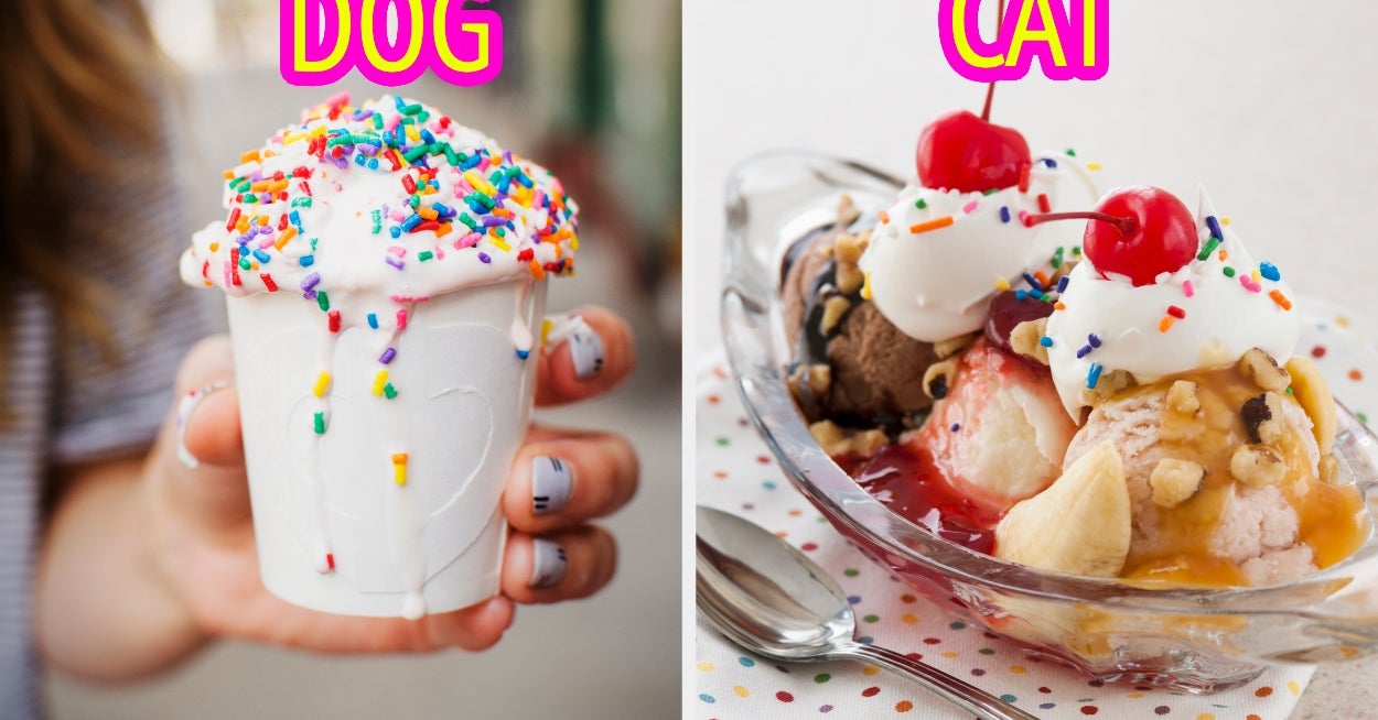 Customize An Ice Cream Sundae And I'll Reveal Which Animal You Are Inside
