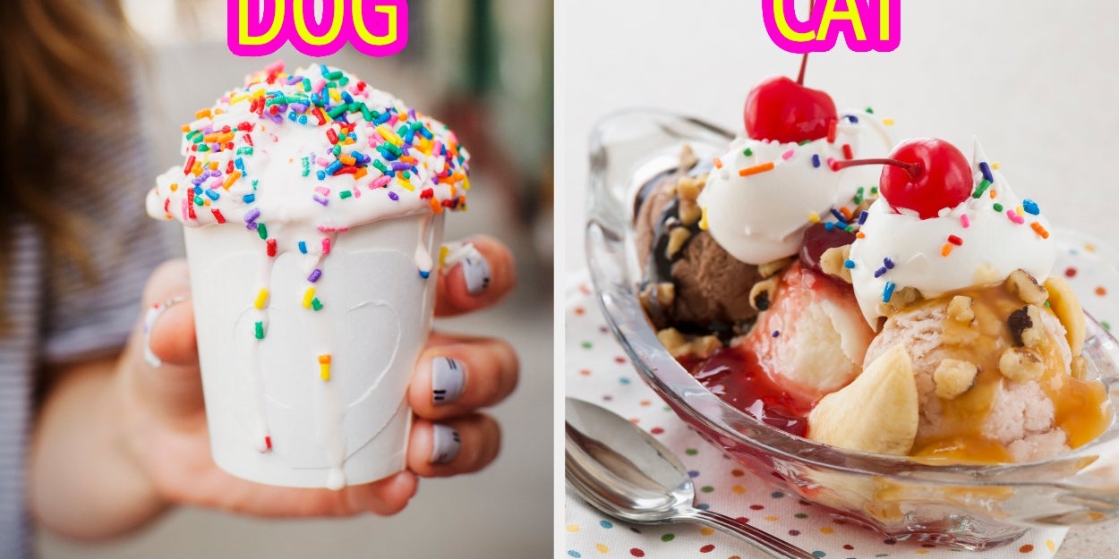 Customize An Ice Cream Sundae And I'll Reveal Which Animal You Are Inside