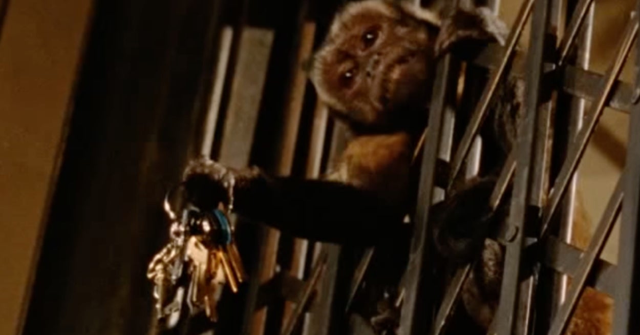 In A Heist, Would You Be The Mastermind, Hacker, Wild Card, Muscle, Smooth Talker, Or Driver? Break Out Zoo Animals To Find Out