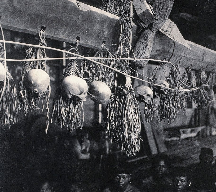 Skulls bent  from a woody  beam adorned with plants, arsenic  radical   stitchery  beneath  successful  a dimly lit setting