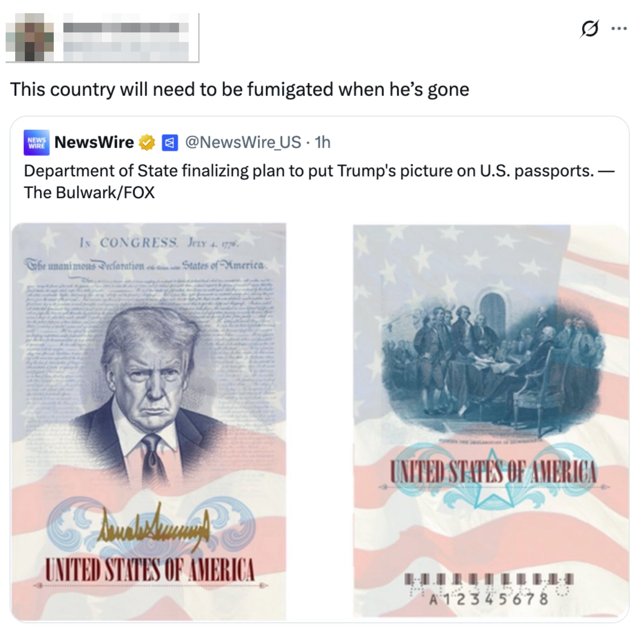 Sosiale medier-innlegg som viser et falskt amerikansk passdesign med Donald Trumps bilde og signatur, sammen med kommentarer