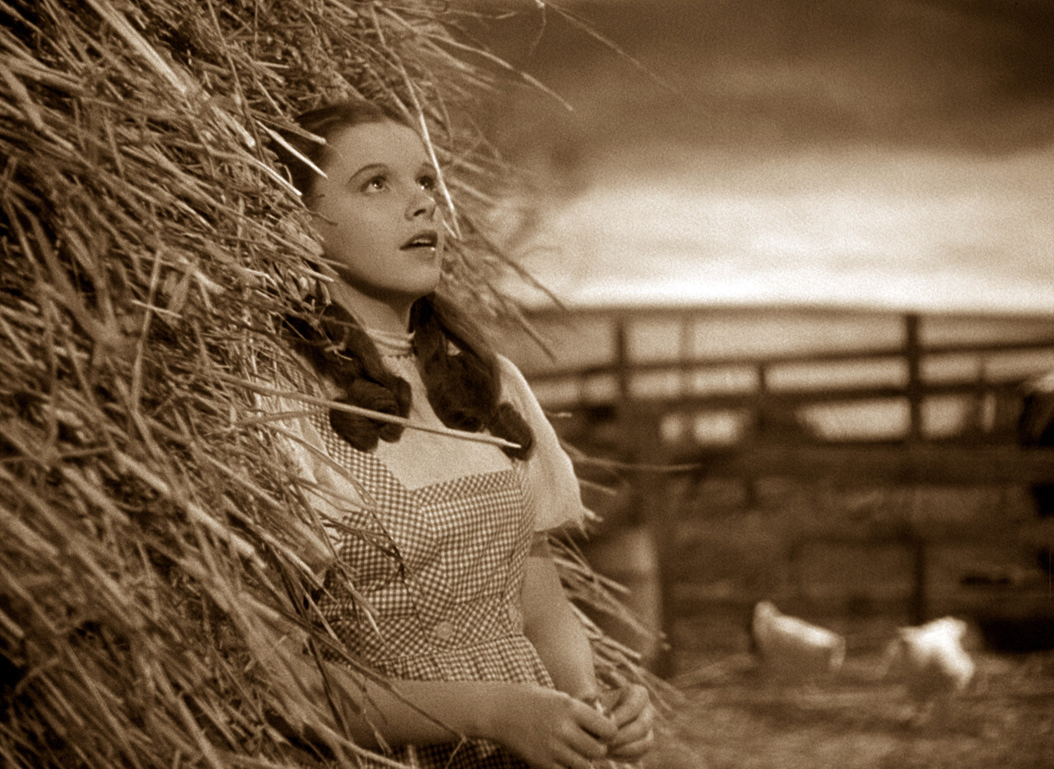 A young miss  successful  a gingham formal  looks up   portion    lasting  adjacent  to a haystack. Chickens and a woody  obstruction   are successful  the background
