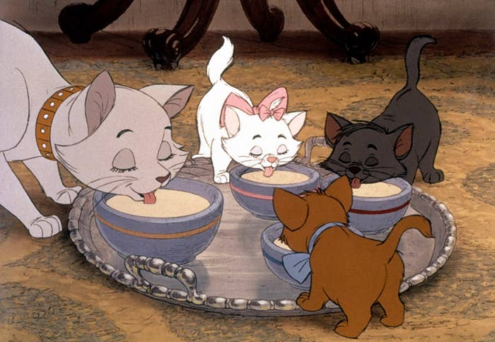 Four animated kittens joyfully sip beverage  from bowls connected  a tray, each   with unsocial   accessories similar  a bow and collar