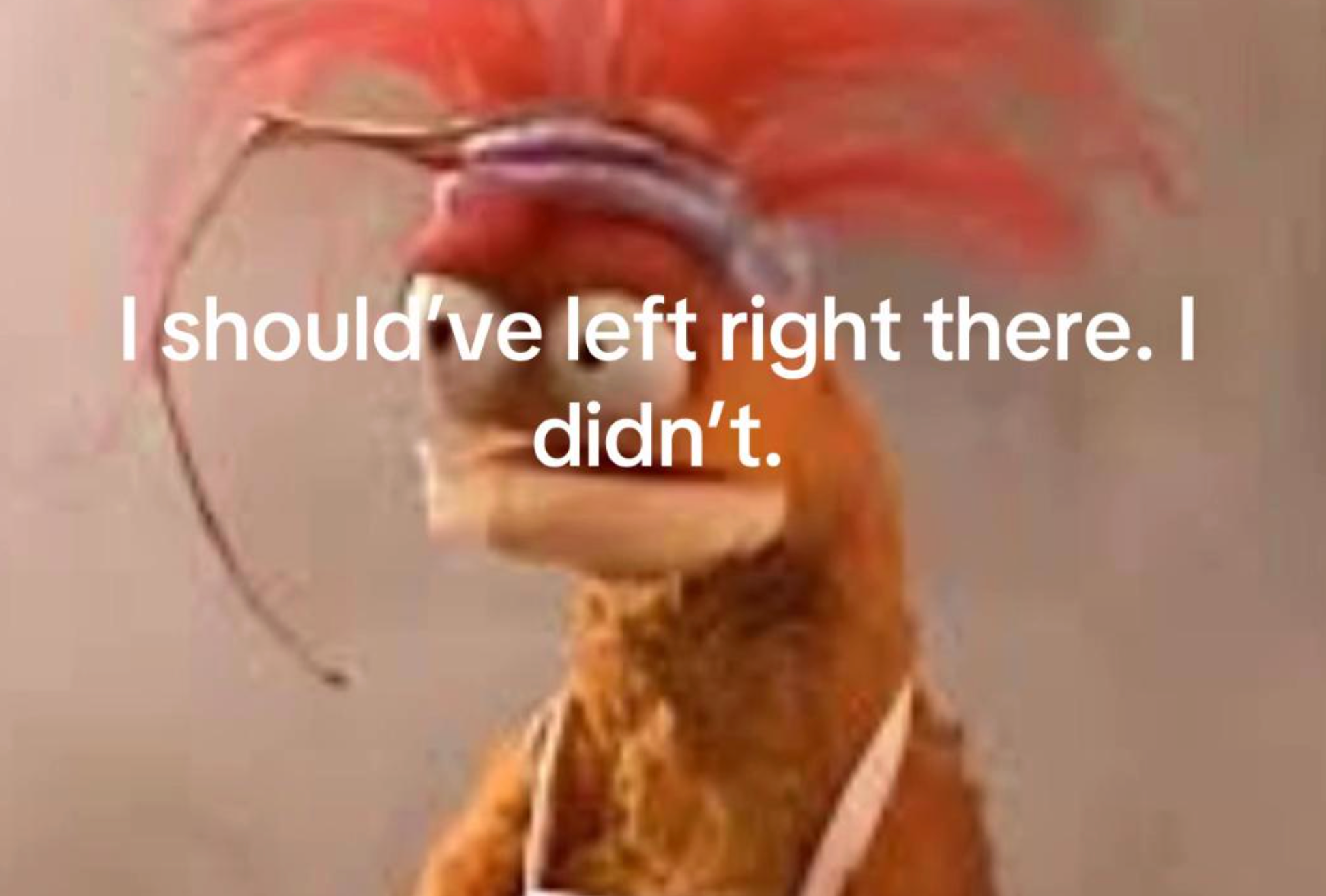 Post image 11