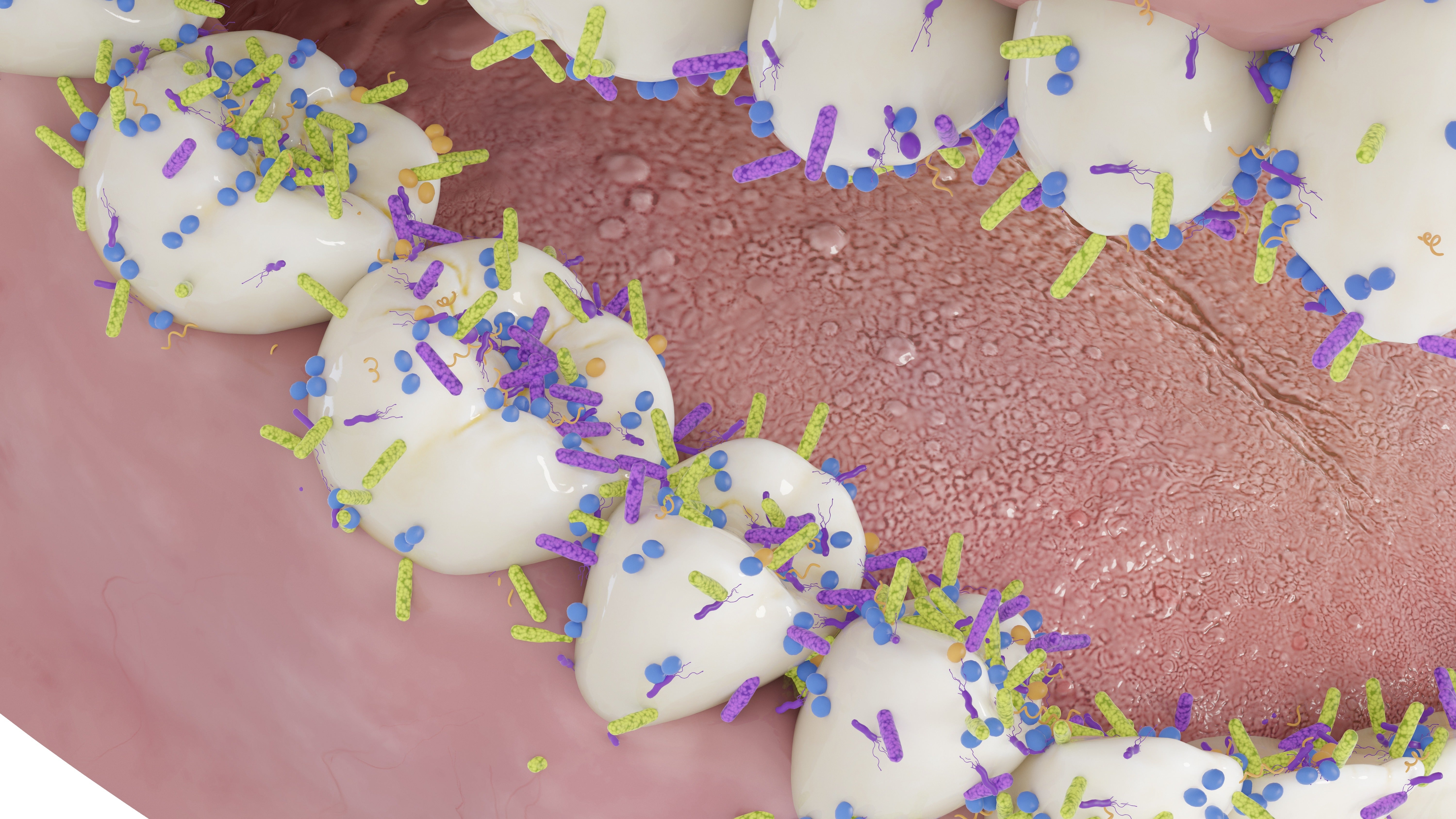 Illustration of bacteria connected  quality  teeth, showing divers  microorganisms connected  dental surface, highlighting oral hygiene's relation   successful  wide    health