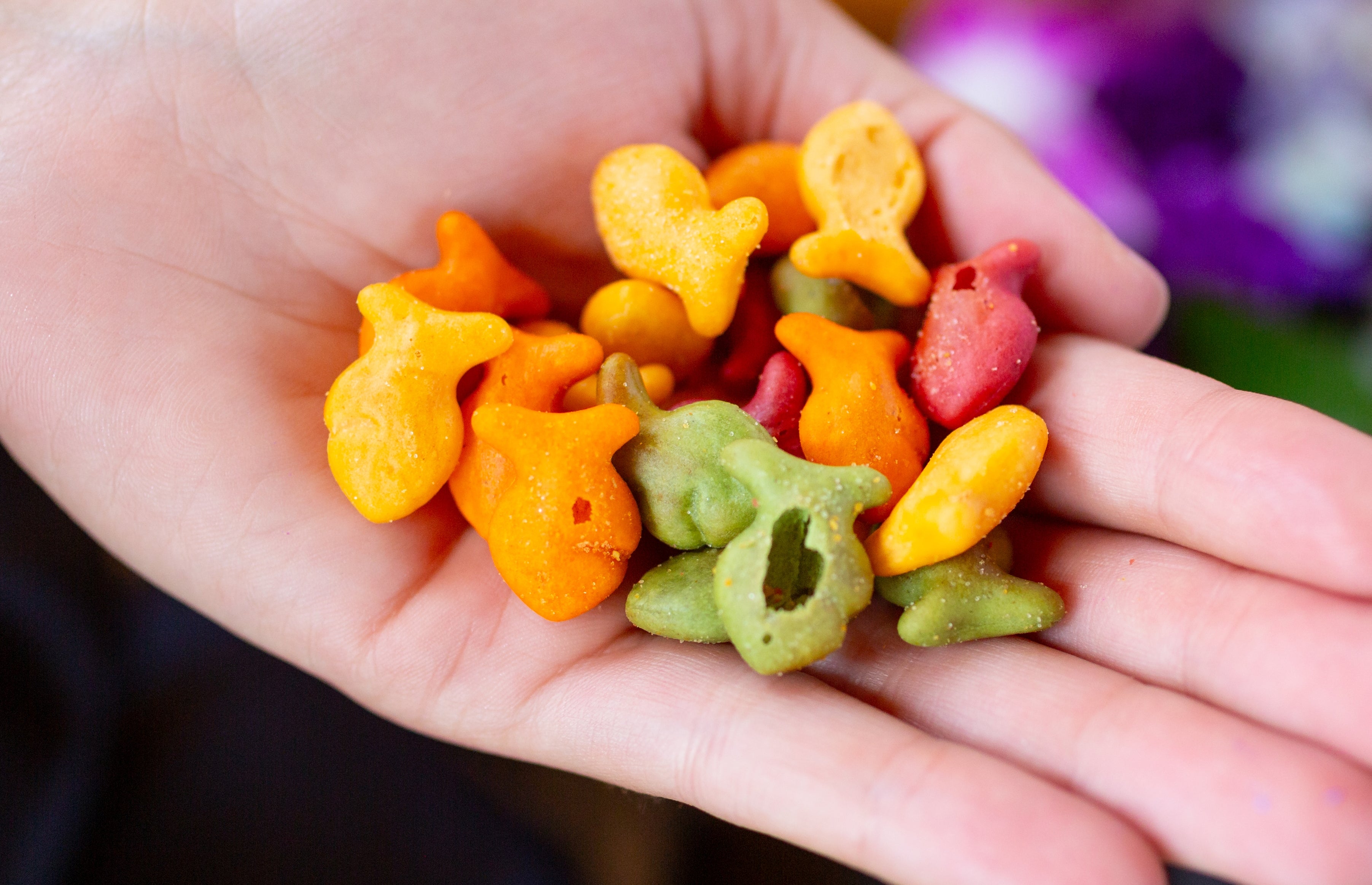 Hand holding assorted colorful crackers successful  food  shapes, immoderate   successful  green, red, and orange, against a blurred background