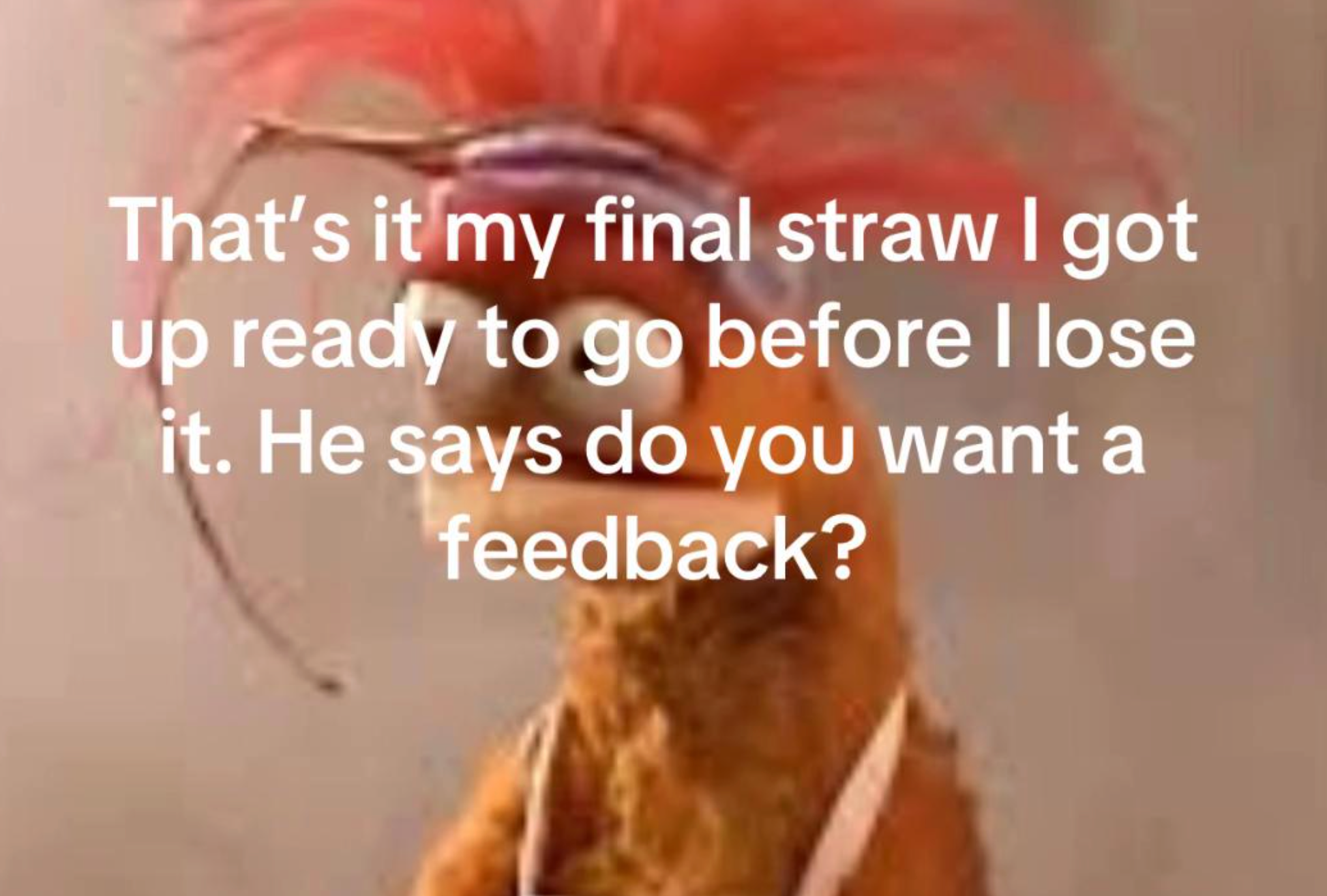 Post image 35