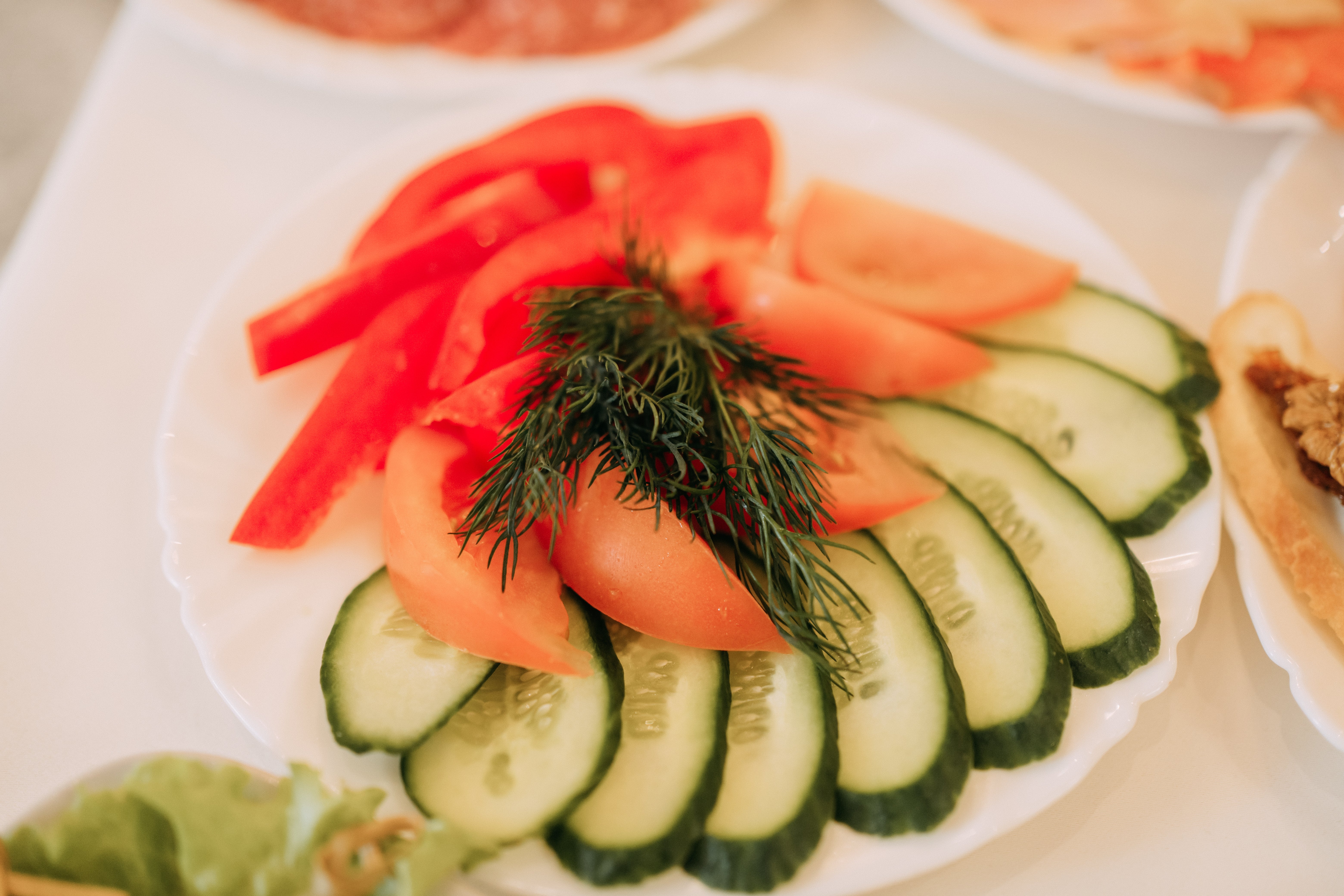 Plate with sliced cucumbers, tomatoes, and reddish  doorbell  peppers, garnished with caller  dill, arranged connected  a achromatic  surface