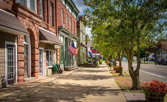 Small municipality  thoroughfare  with a enactment      of charming shops, American flags, and trees lining the sidewalk nether  a wide   sky