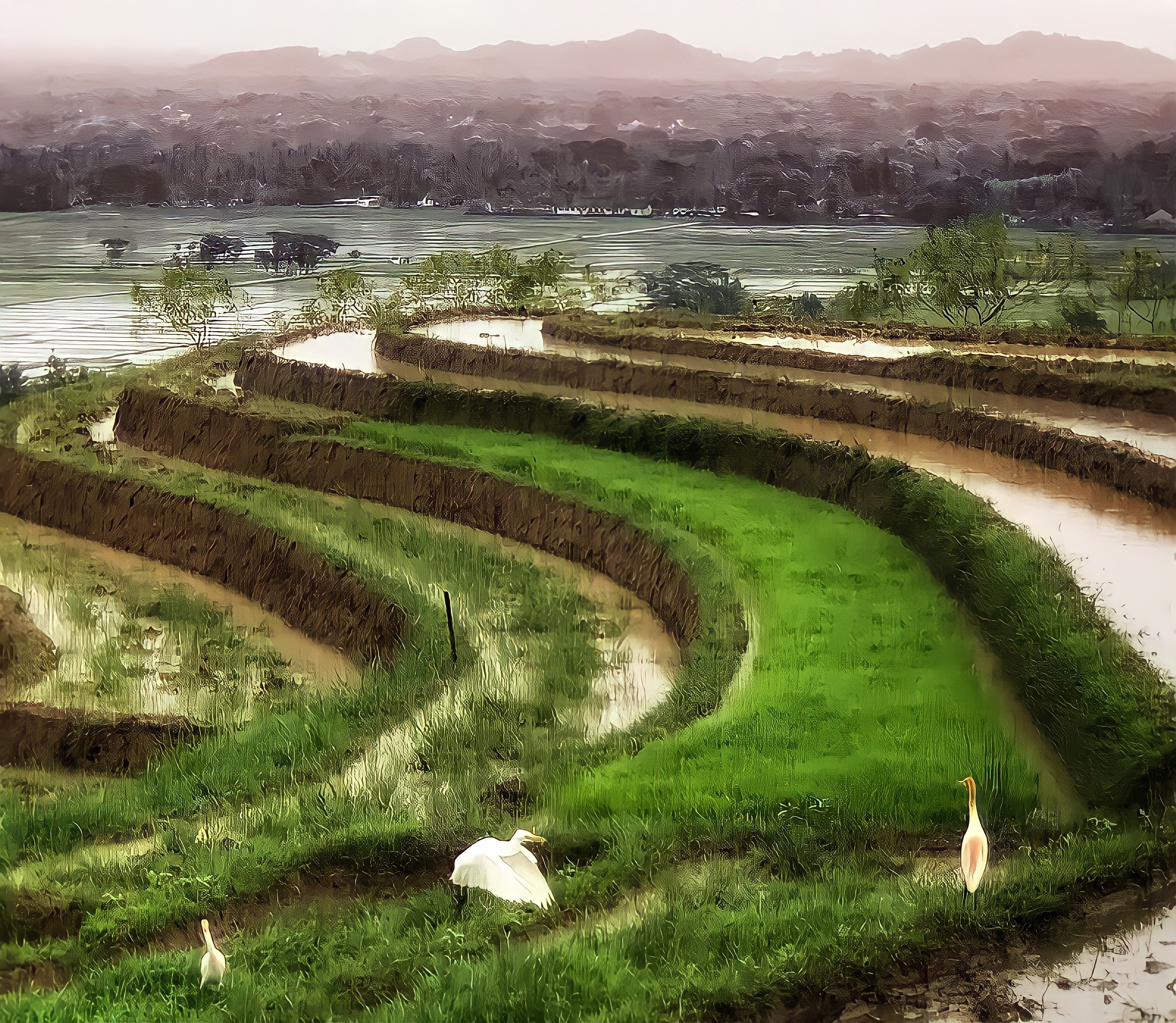Terraced atom   fields with birds and distant   hills, creating a serene landscape