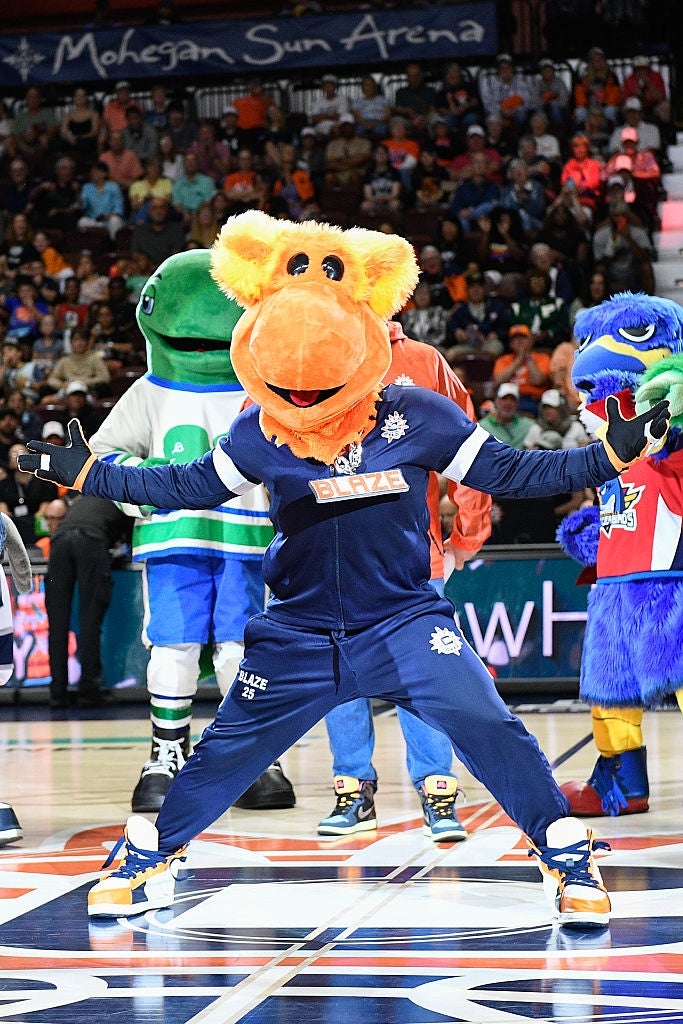 Mascots execute  with energetic poses connected  a hoops  tribunal  successful  beforehand   of an audience