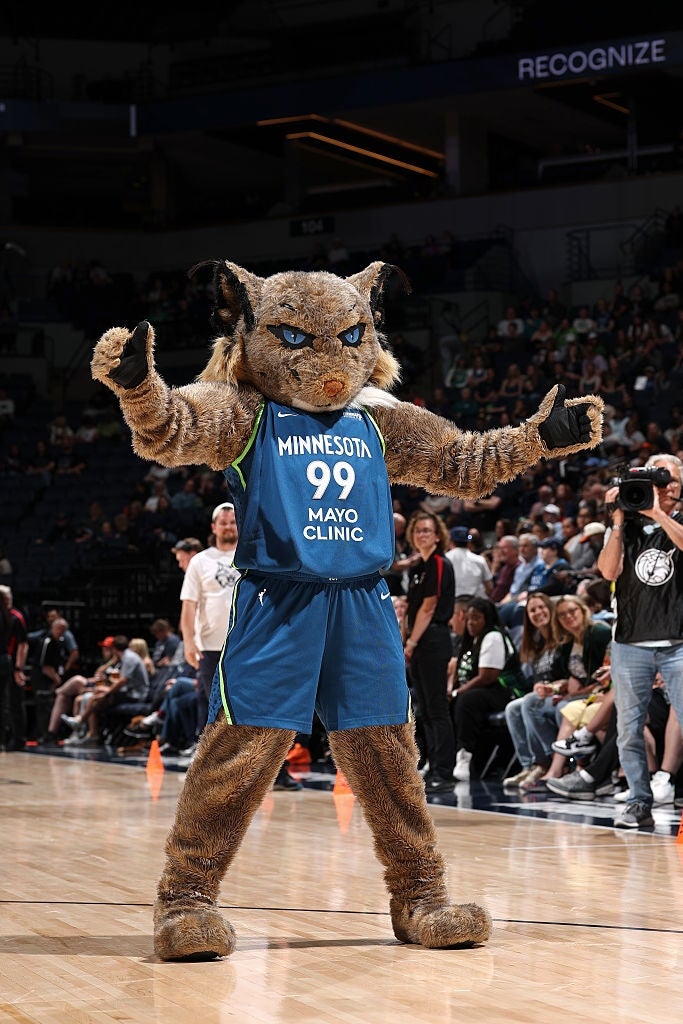 Basketball mascot successful  a jersey entertains a assemblage  connected  a tribunal  during a game. Audience and players are disposable   successful  the background